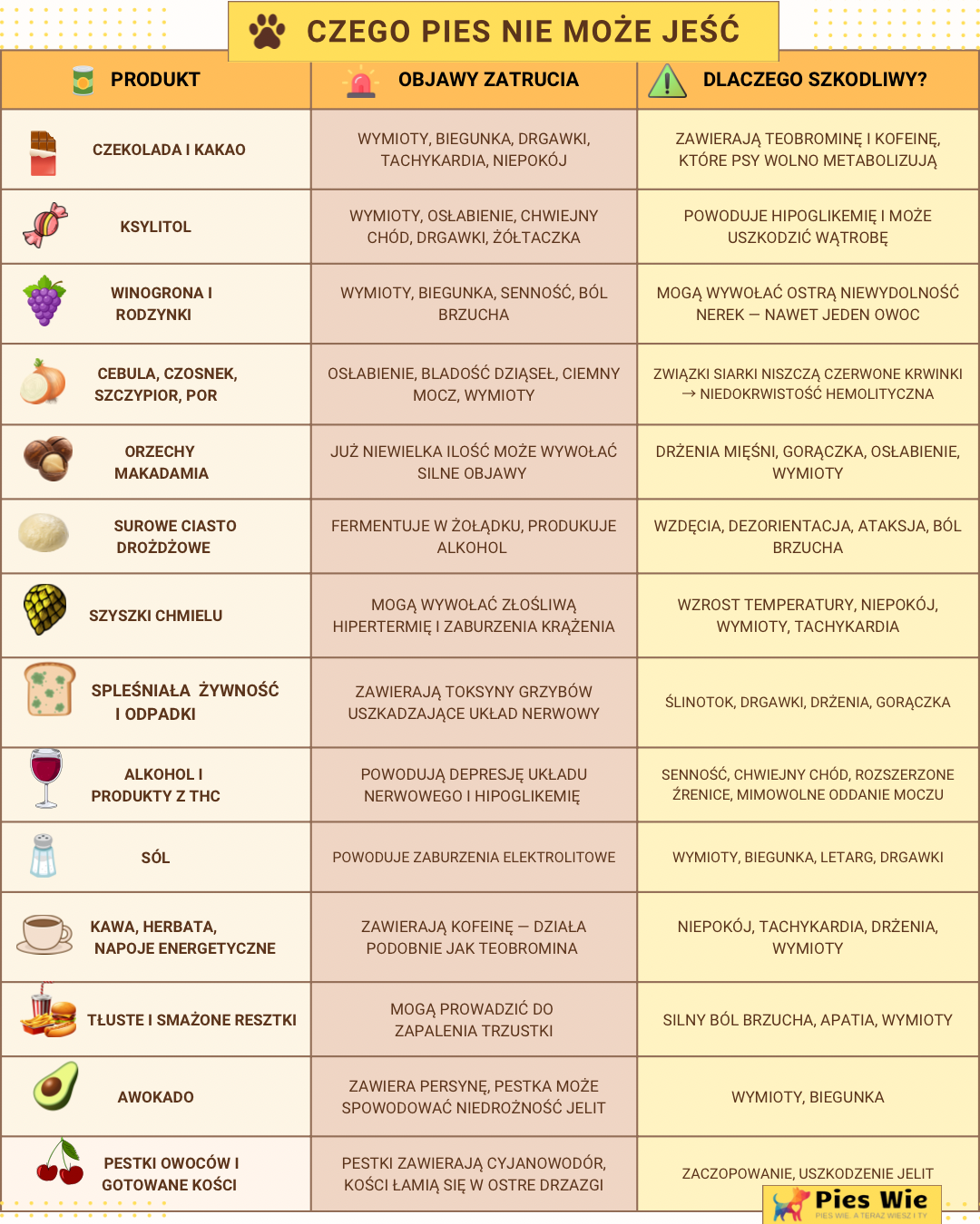 Tabela - czego pies nie może jeść: lista najbardziej toksycznych produktów dla psa. To szybka ściągawka - produkty, objawy i zagrożenia 