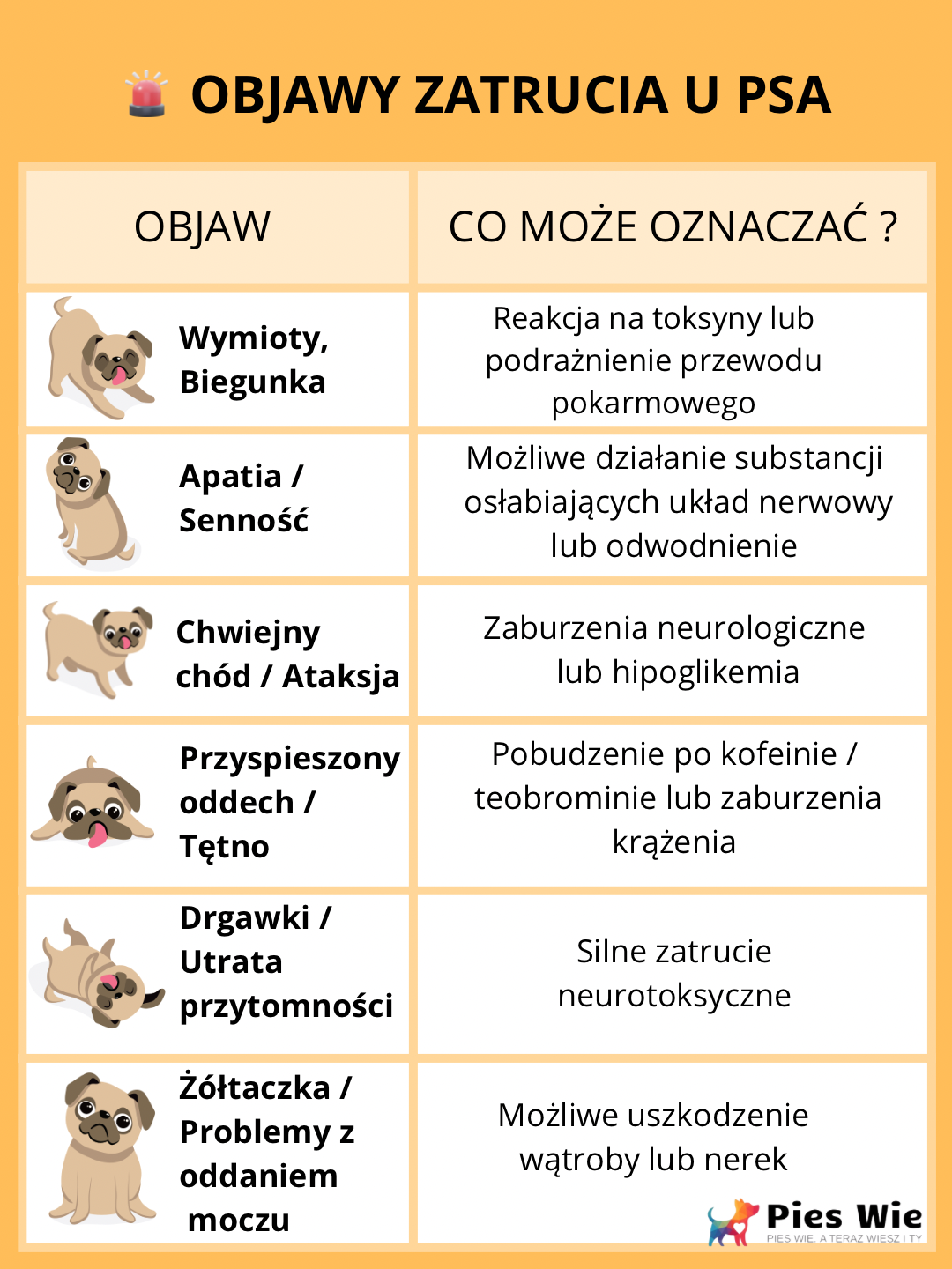 jak rozpoznać zatrucie u psa - lista objawów