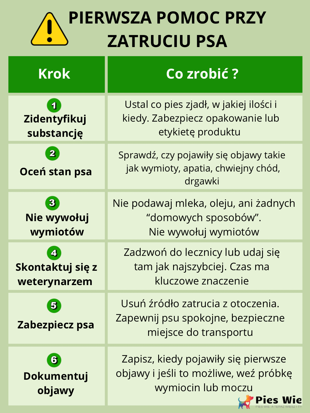 instrukcja pierwszej pomocy dla psa  po zatruciu